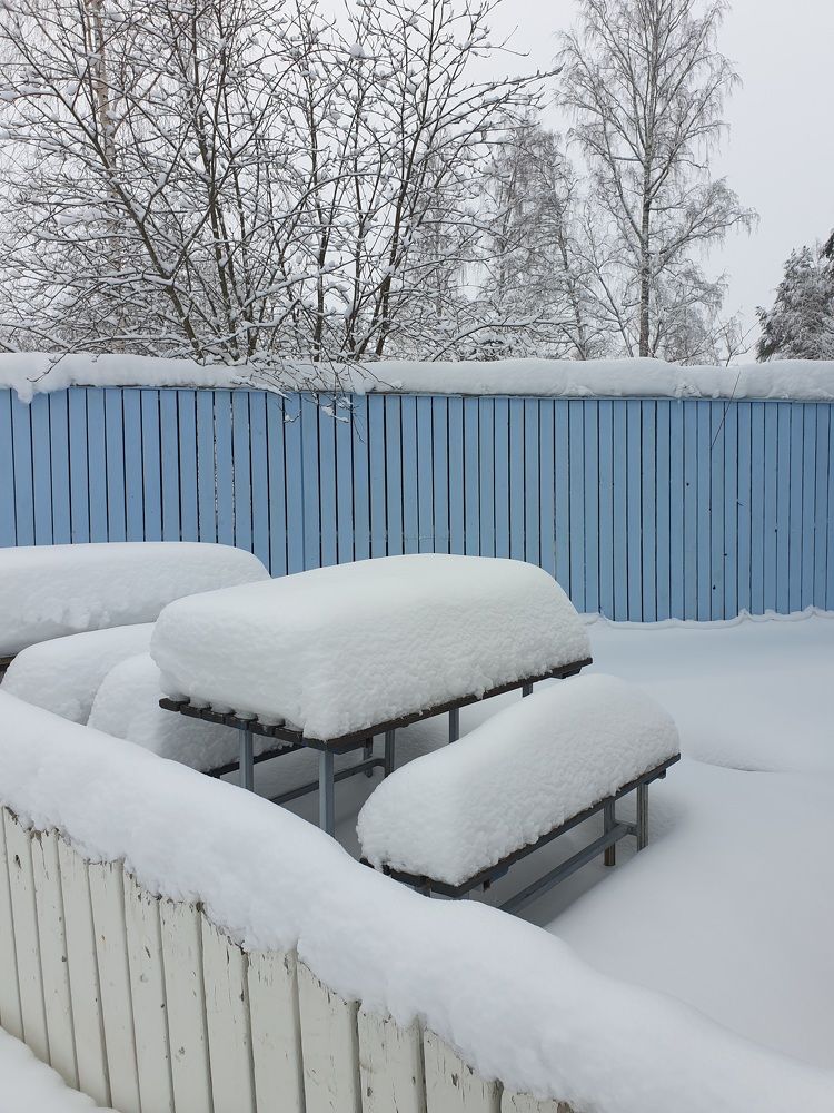 зимние настолие