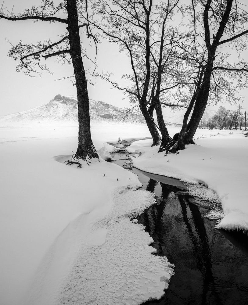 Фотография автора Кочергин Дмитрий