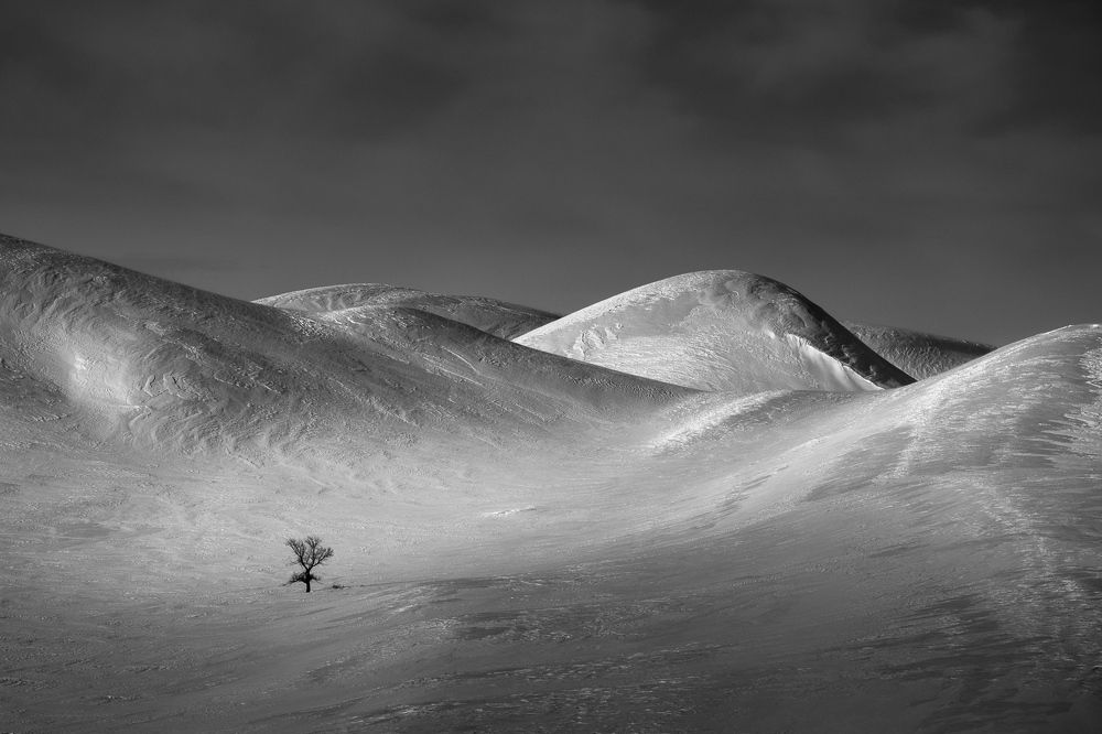 Фотография автора Кочергин Дмитрий