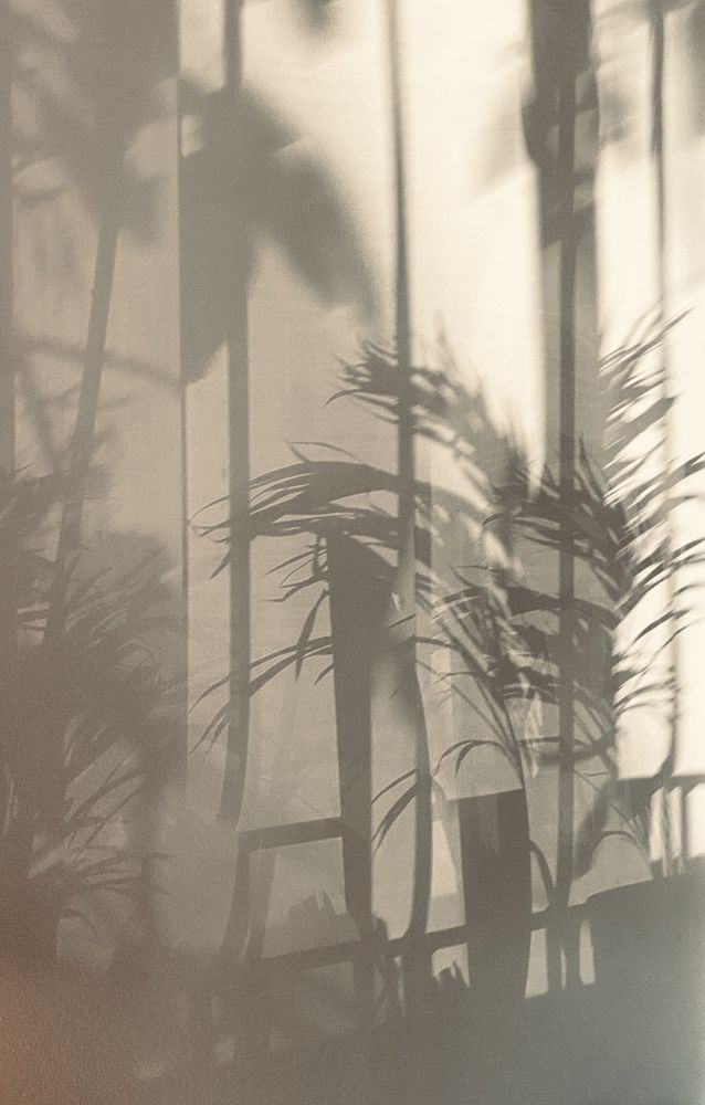 Photograph by Валерия Паули