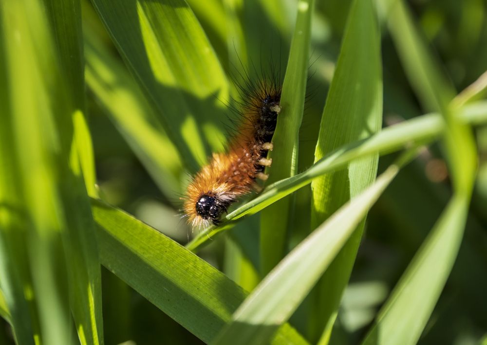 Photograph by klara Neikov