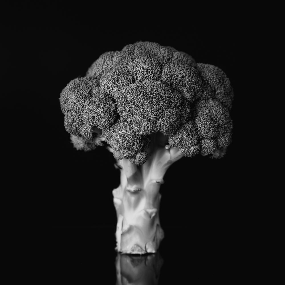 Photograph by Simone Zeffiro