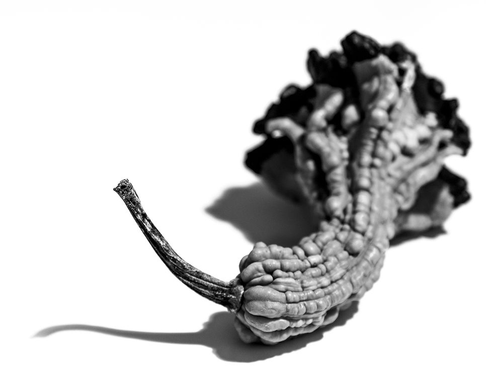 Photograph by Simone Zeffiro