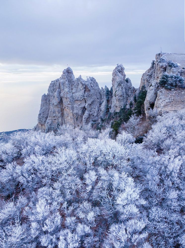 Фотография автора Serge Titov