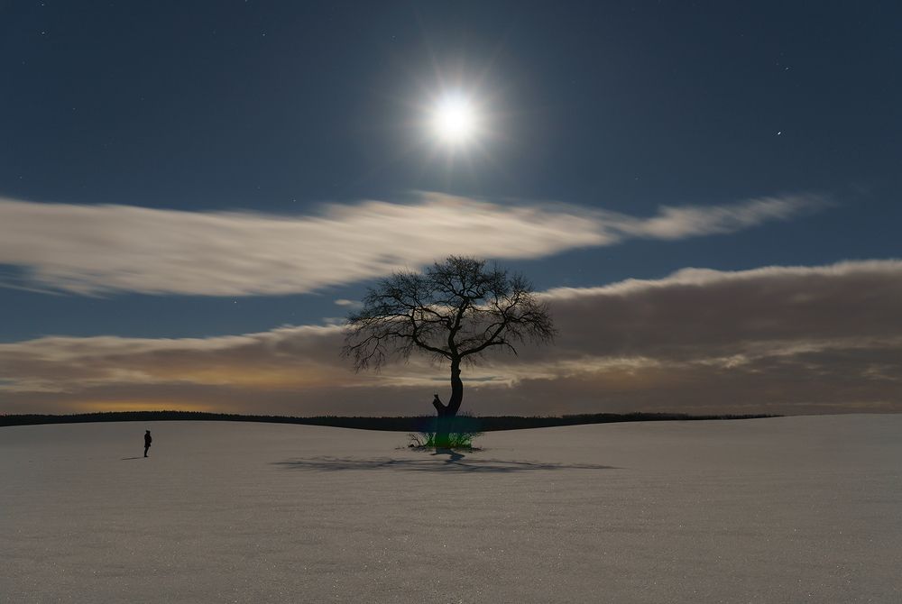 Photograph by Lukasz Zugaj