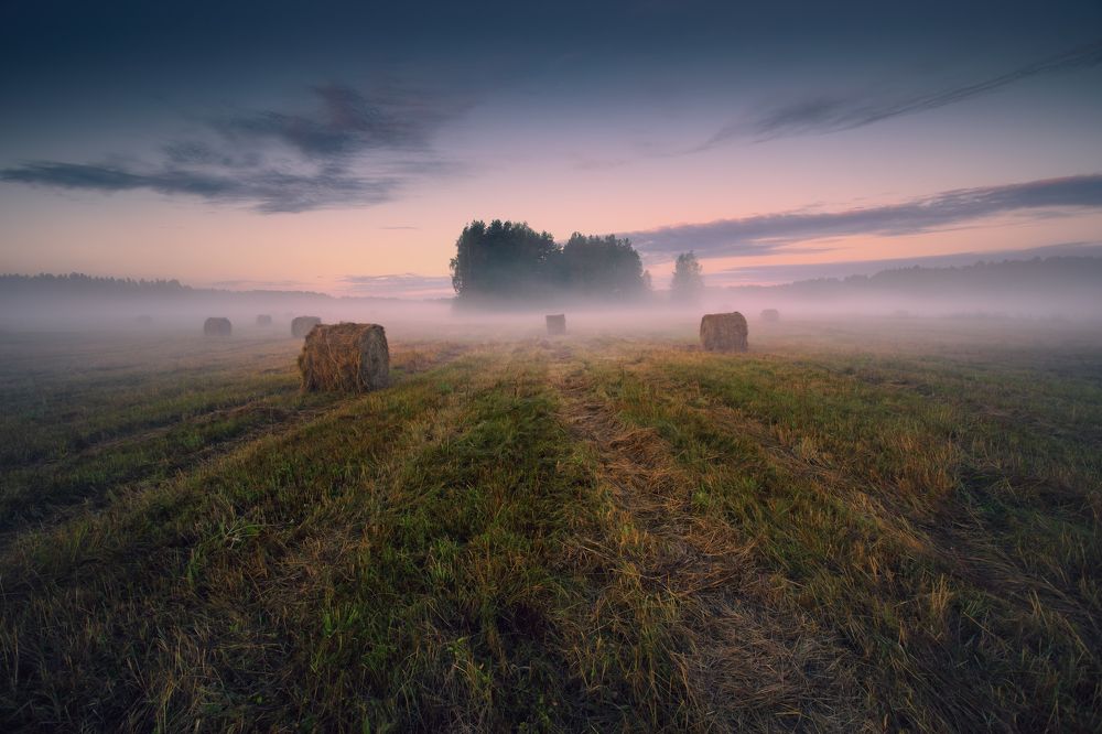 Photograph by (Roman) Heger