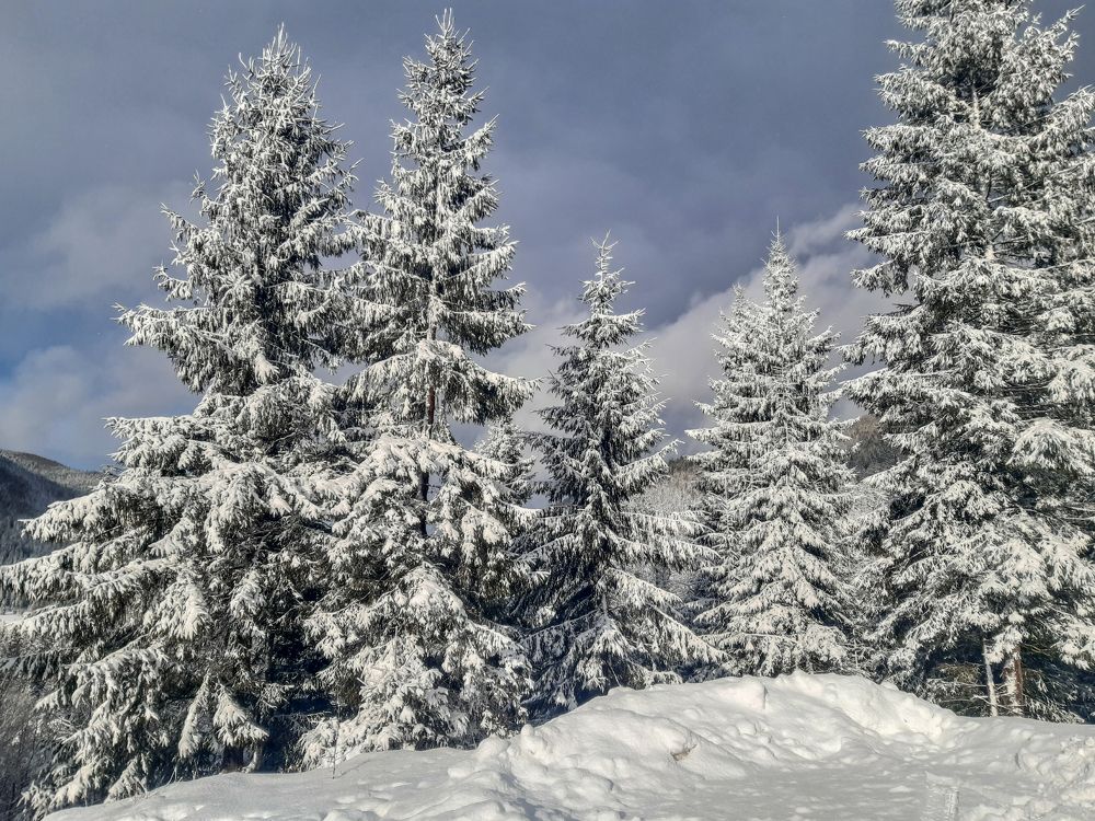 Photograph by Ярослав