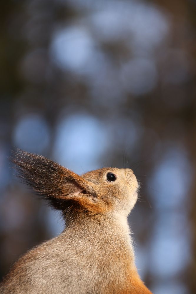 Photograph by Наталья Гайдукевич