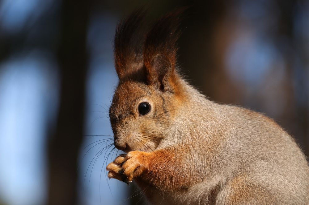 Photograph by Наталья Гайдукевич