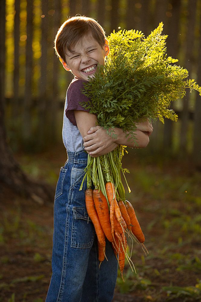 Гришкин урожай