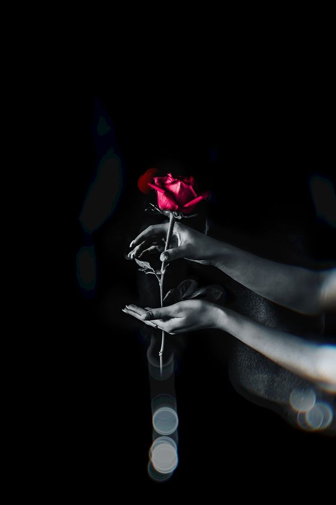 Photograph by Olga Denisenok