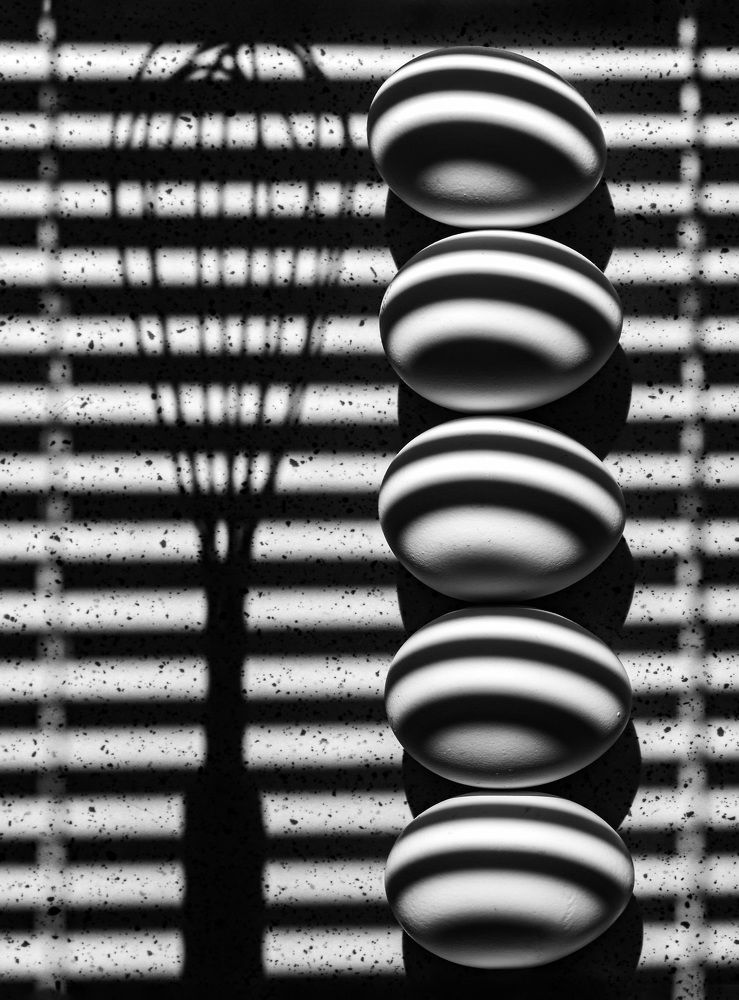 Photograph by Tamar Riabukha