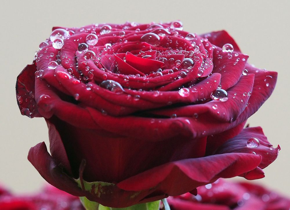 Photograph by Юлия Картушина