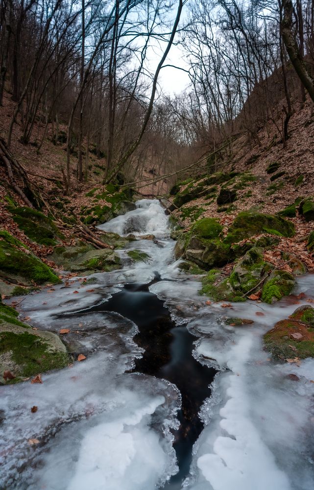 Photograph by Varga Zoltan