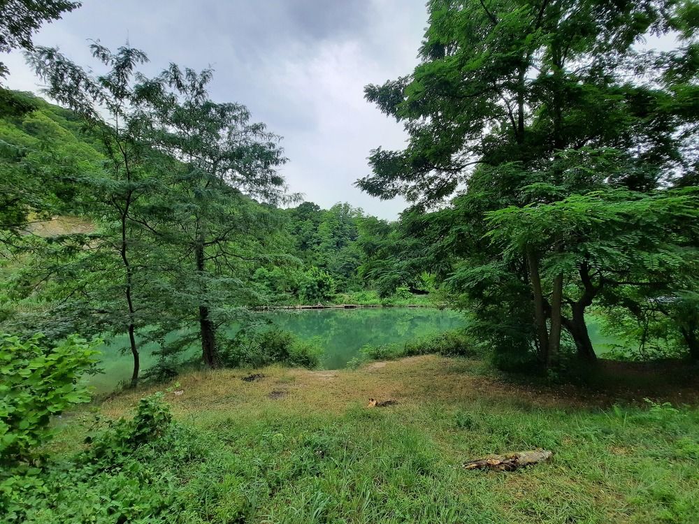 Photograph by Лала Екимчева