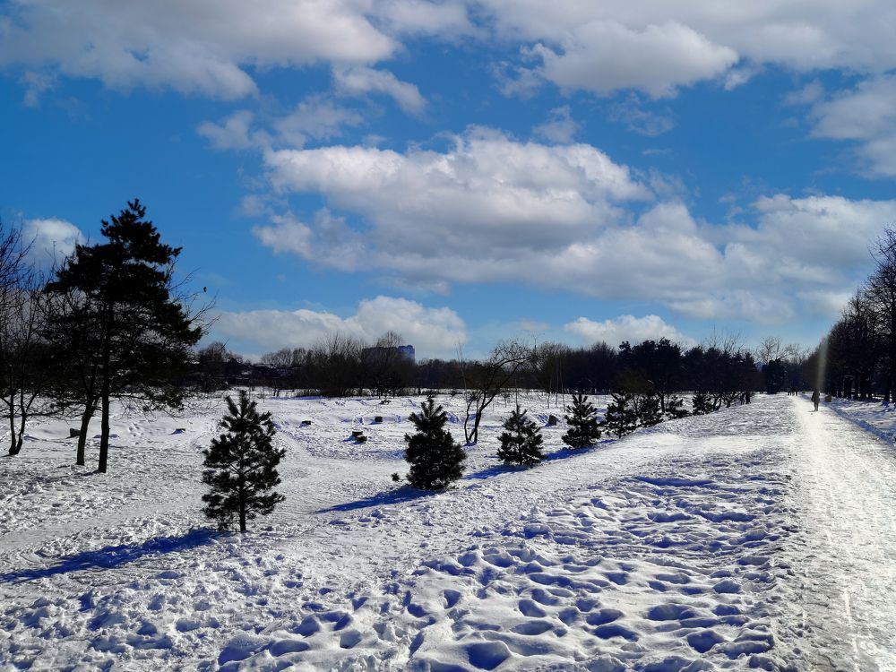 Photograph by Виталий Бараковский