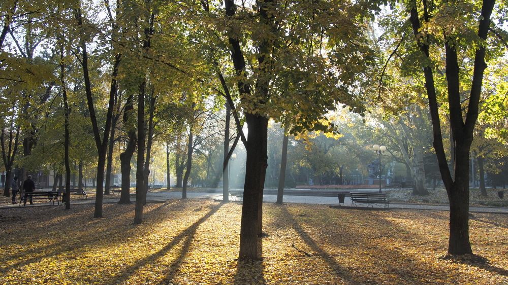 Photograph by Ольга Силкина