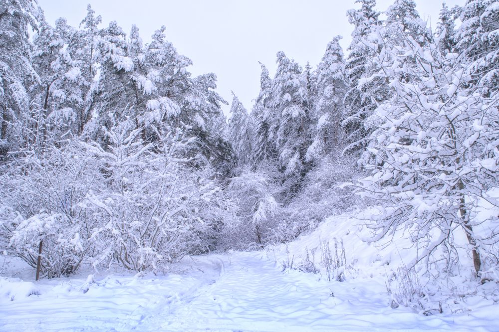 Фотография автора Юлия Кранина