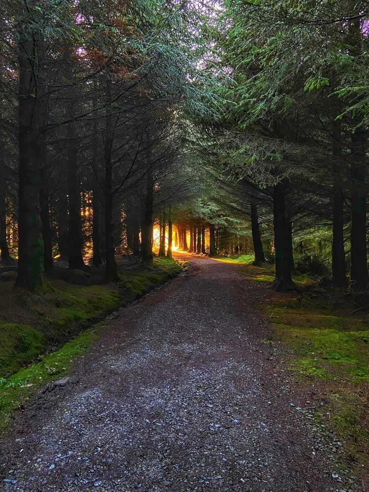 Photograph by Maliseva-Gaile