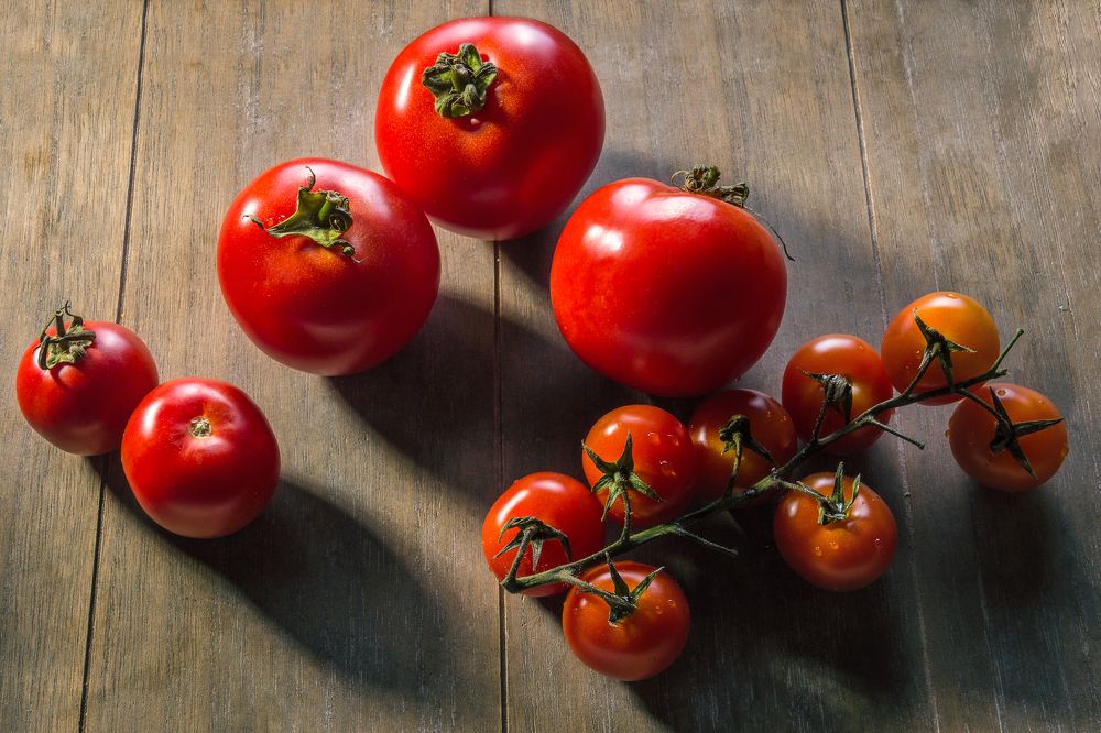 Photograph by Timur Korotkov