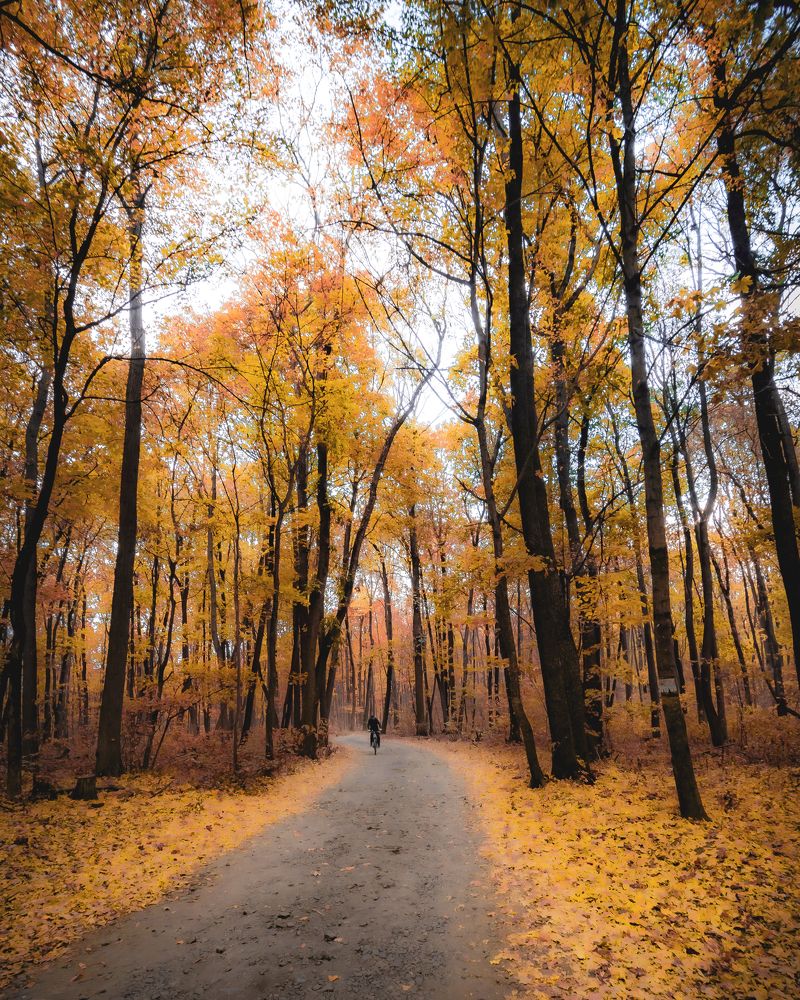 Photograph by Александр Лисенков