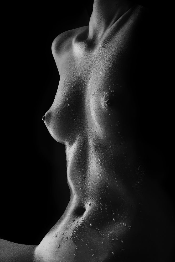 Фотография автора Light Max