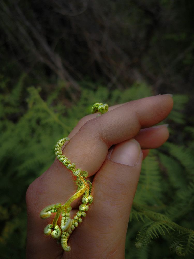 Every Lifeform counds..