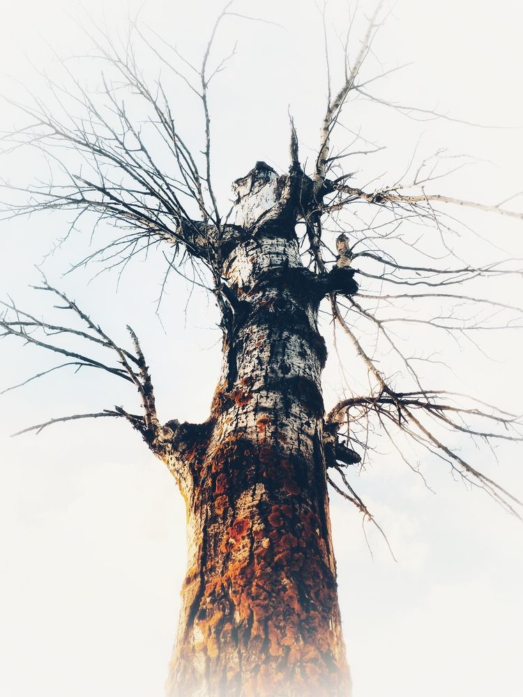 Фотография автора Александр Османов