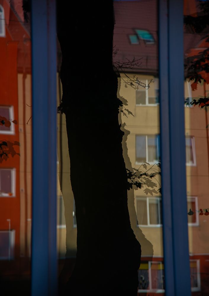 Photograph by Раббе Владимир