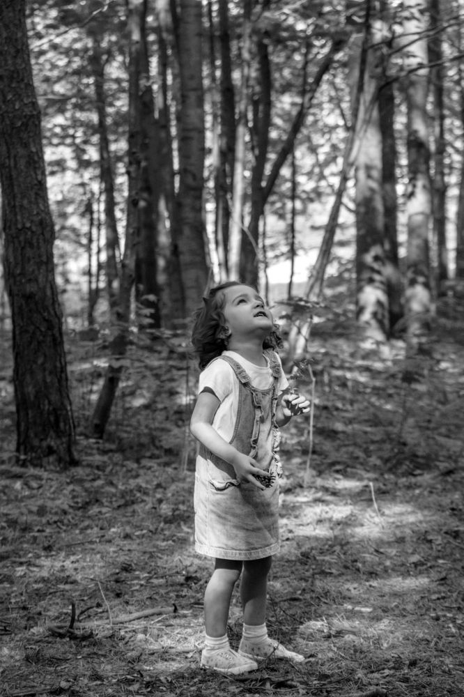 Photograph by Полина Жорова