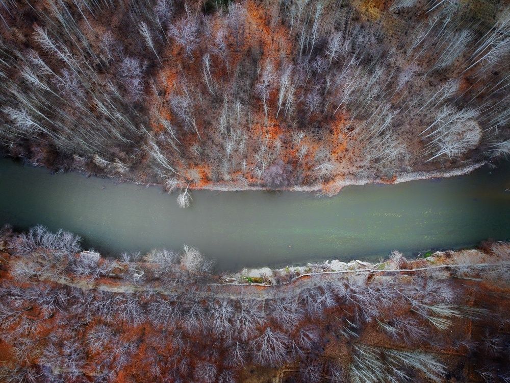 Photograph by Sayyed hassan Mahjoory