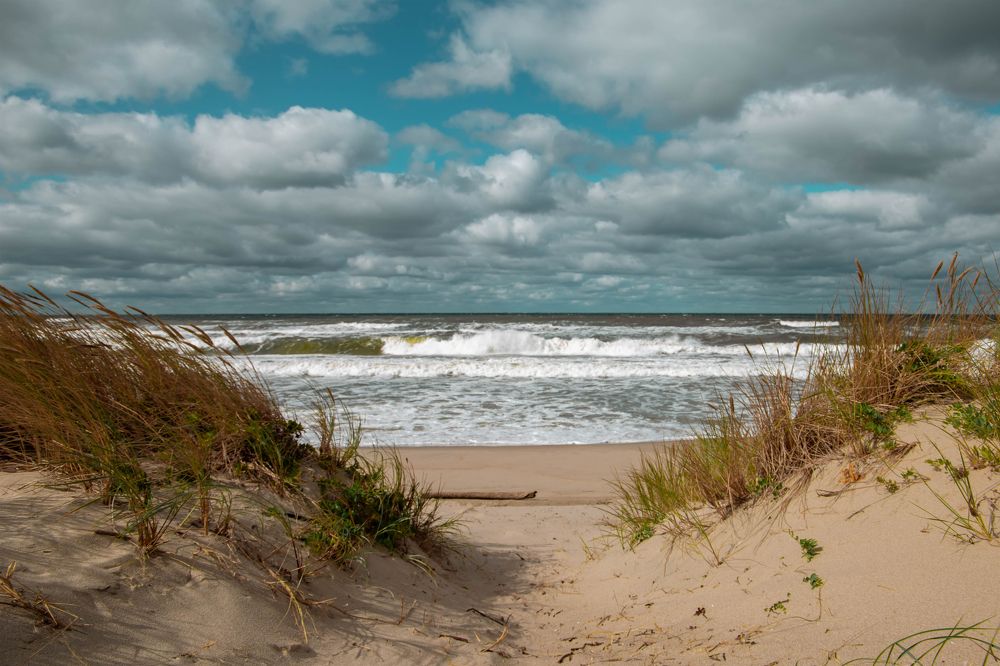 Photograph by Полина Жорова