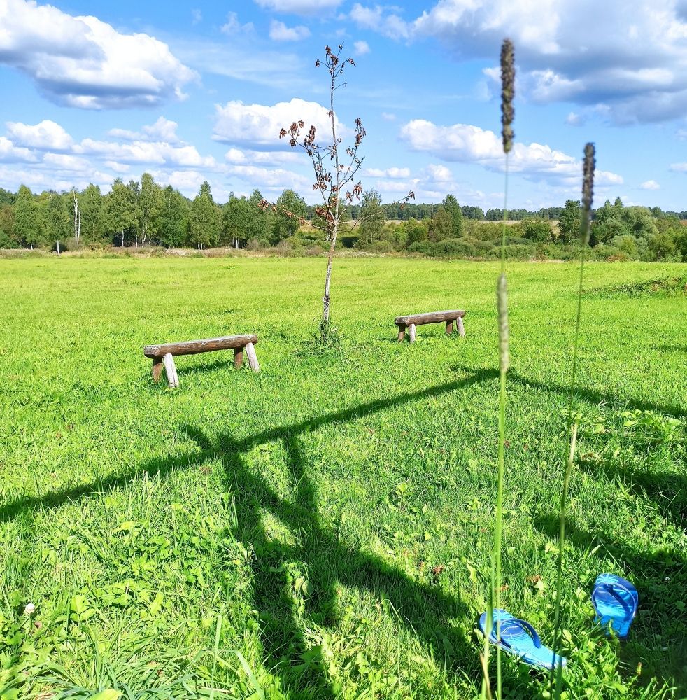 Photograph by Инна Карасева