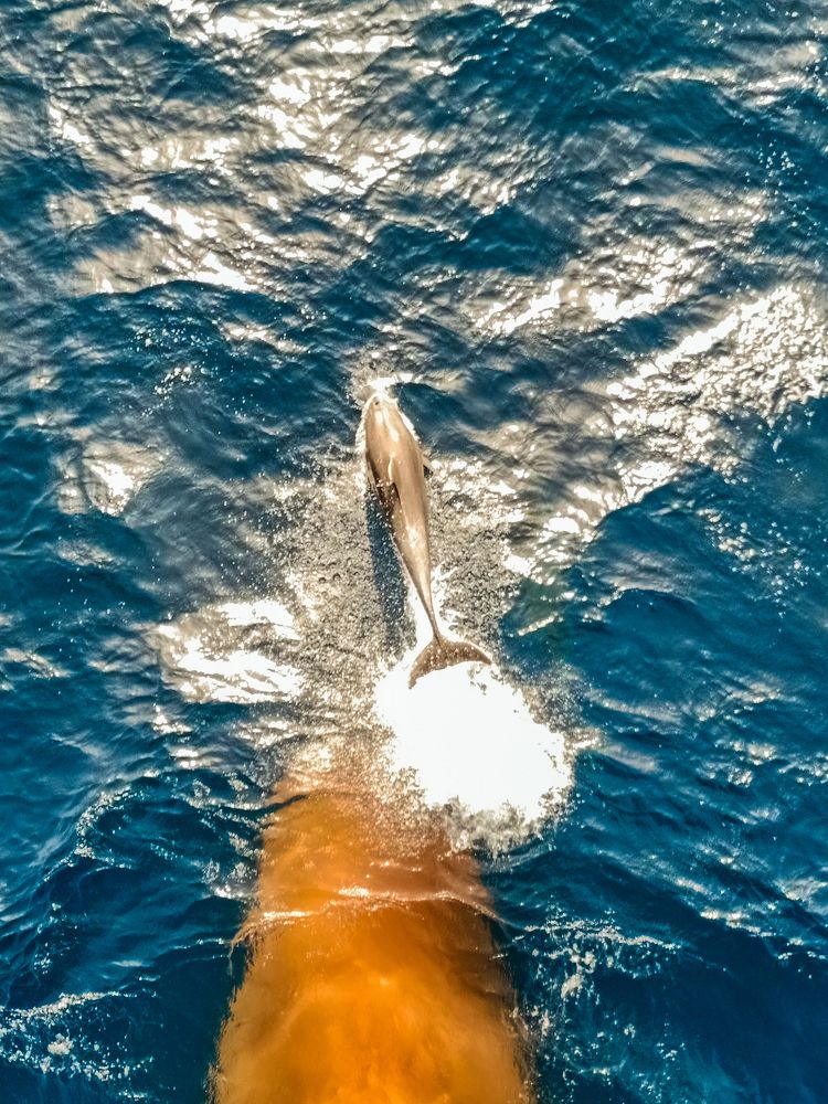 Photograph by Кирилл