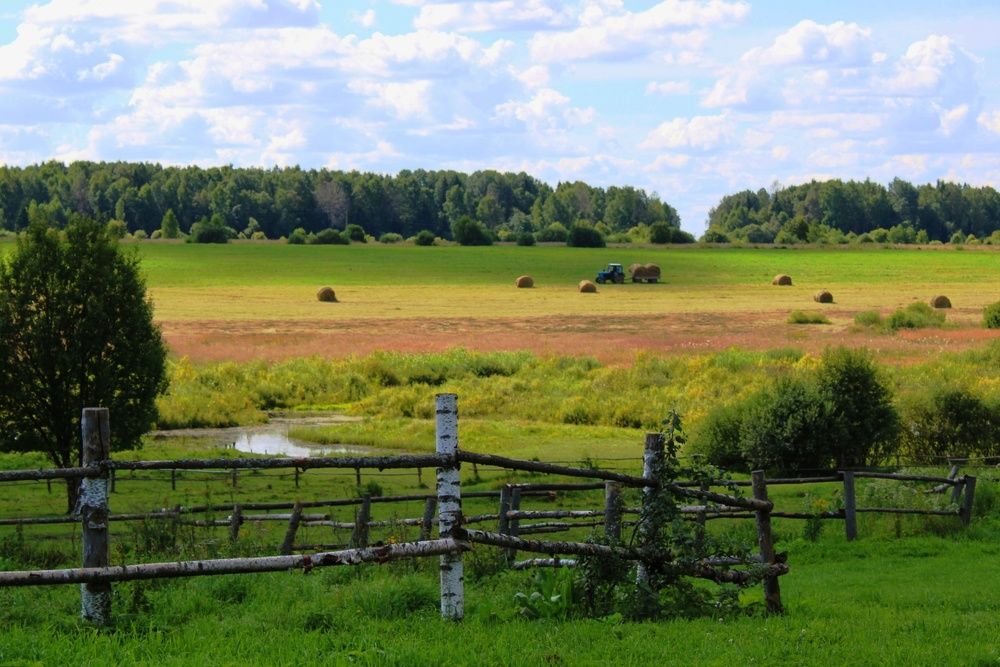 Photograph by Инна Карасева