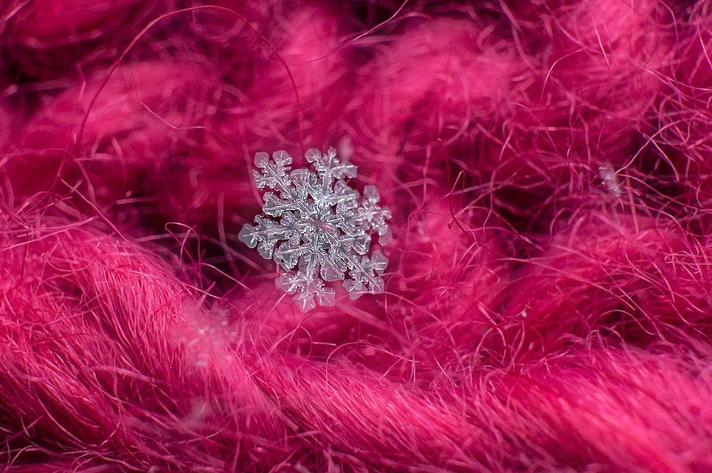 Photograph by Viktor Makarov