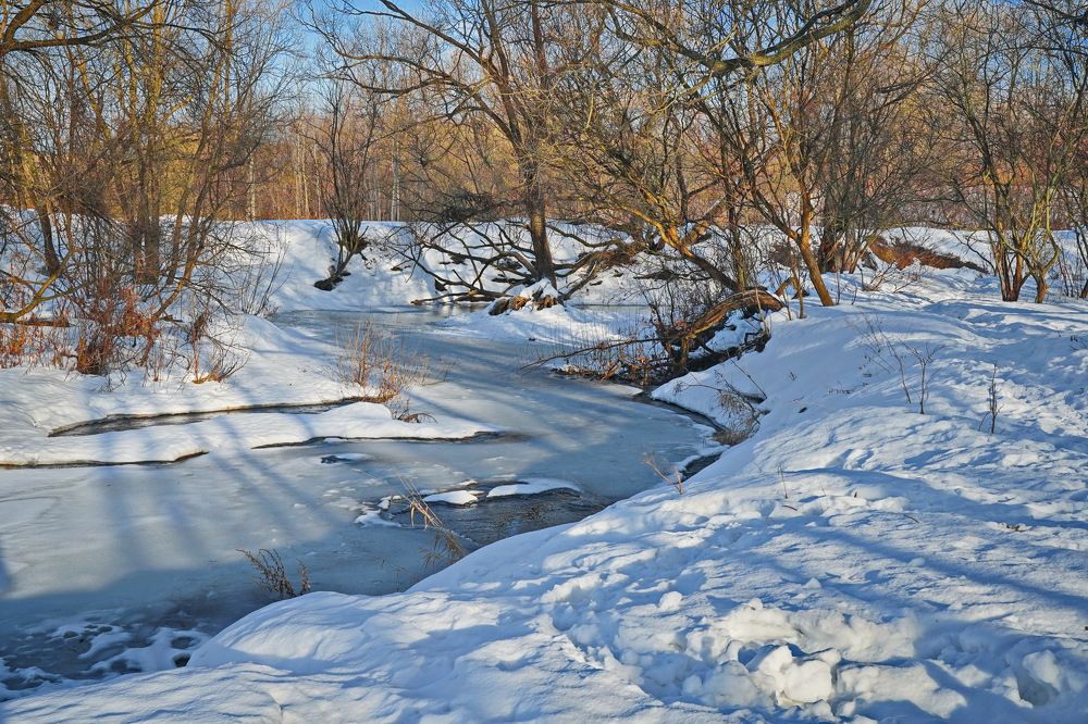 Фотография автора Анатолий Дауров