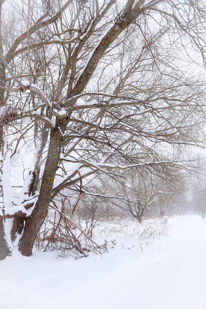 Photograph by Елена Квасова