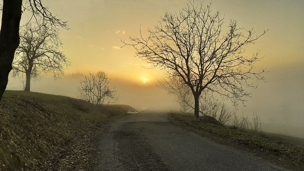 Фотография автора Liliana C.