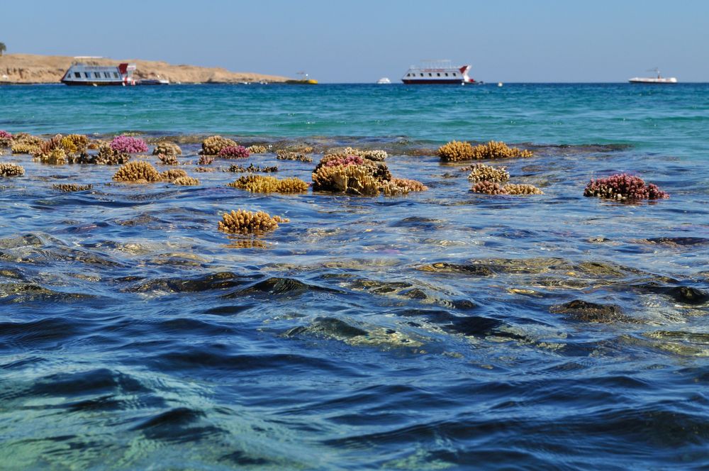 Photograph by Евгений