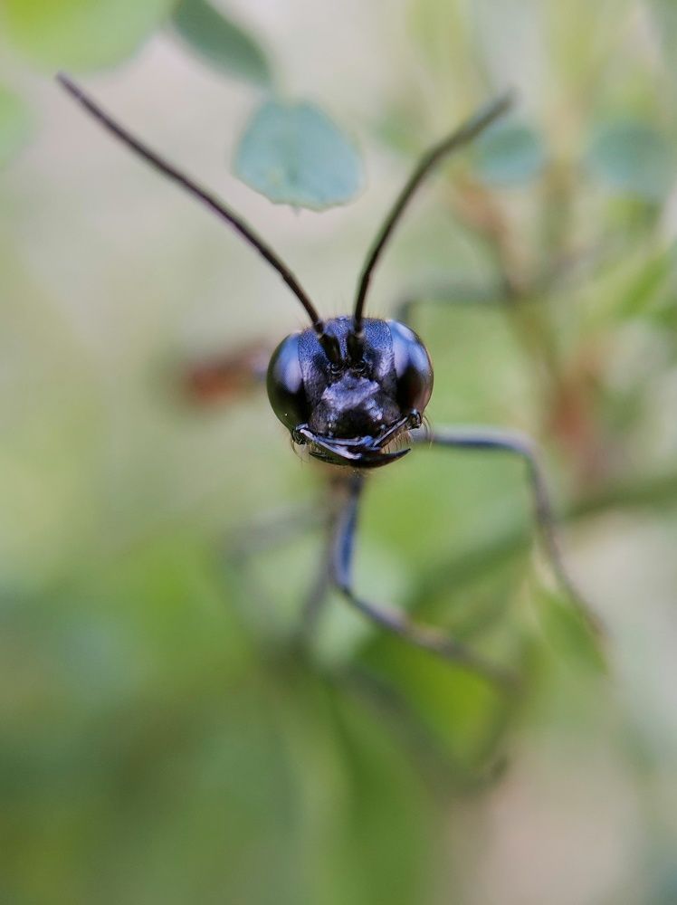 Photograph by Ольга Мажарук