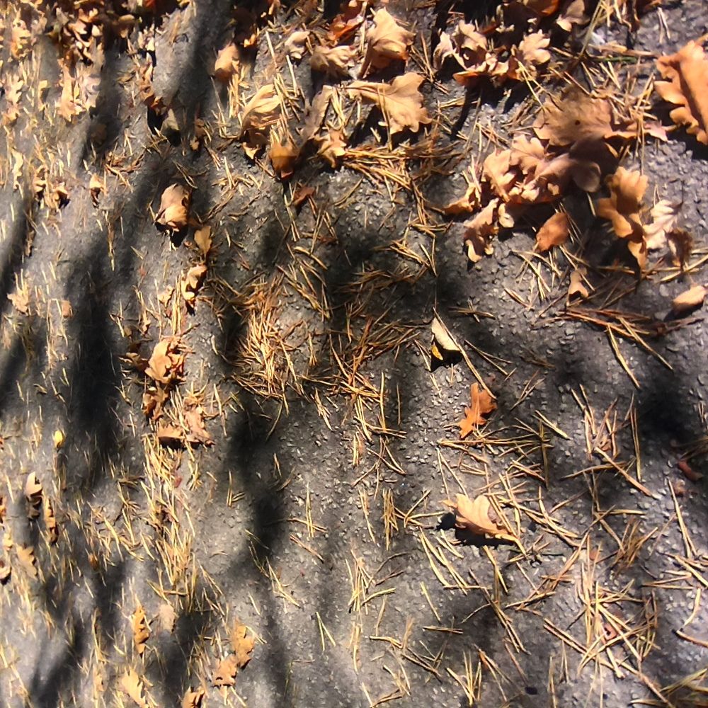 Осенние узоры