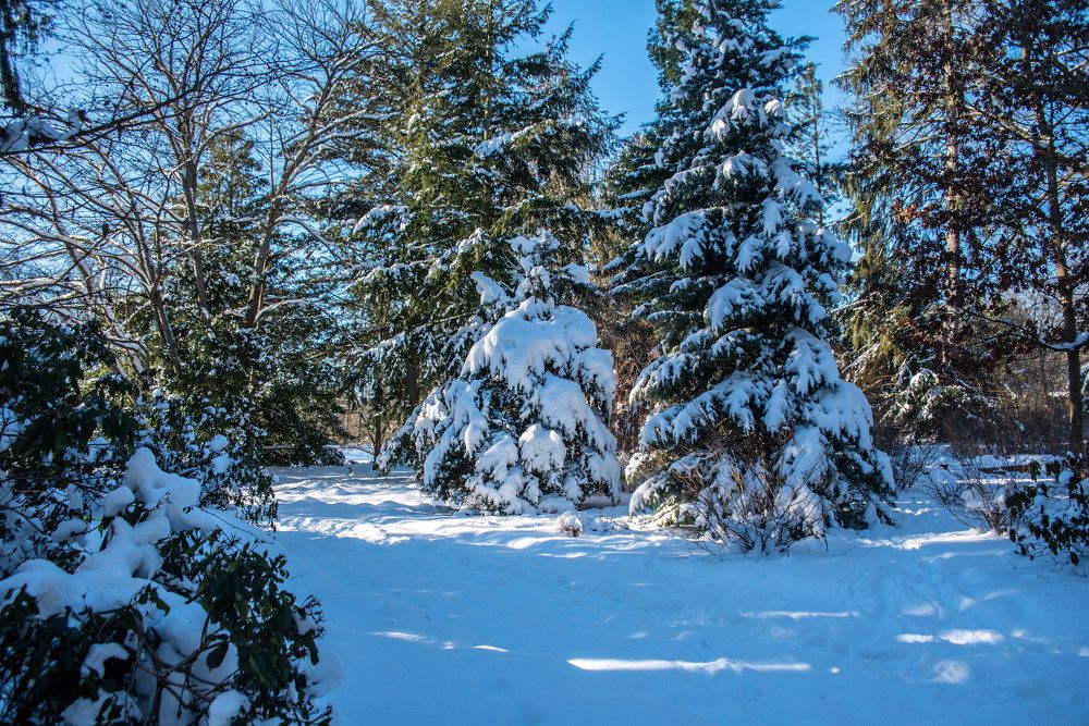 Photograph by Сергей Нагель-Синегубов