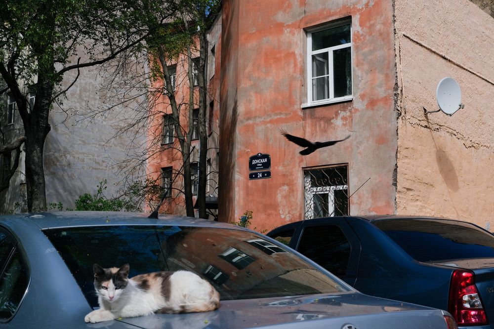 Дворы Петербурга