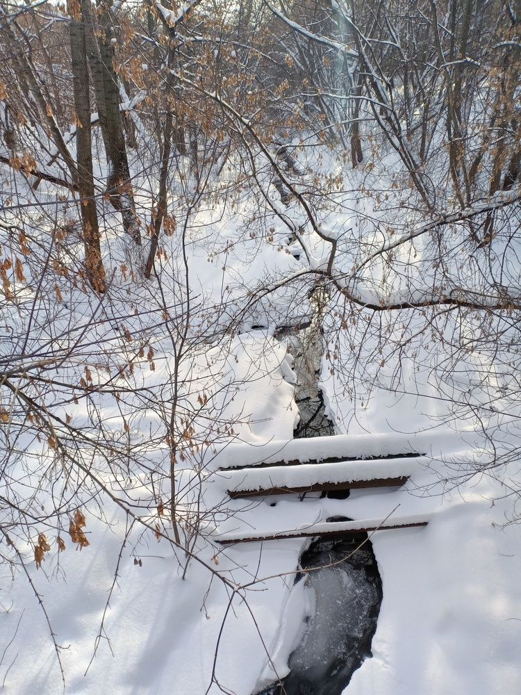 Photo #5792514
