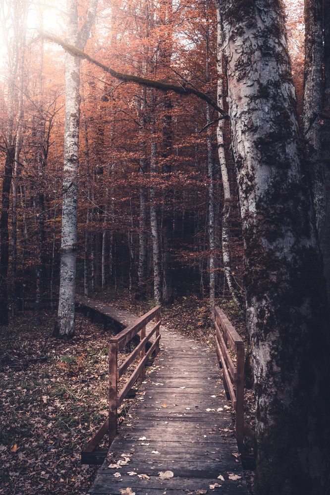 Photograph by Djordjo Iric