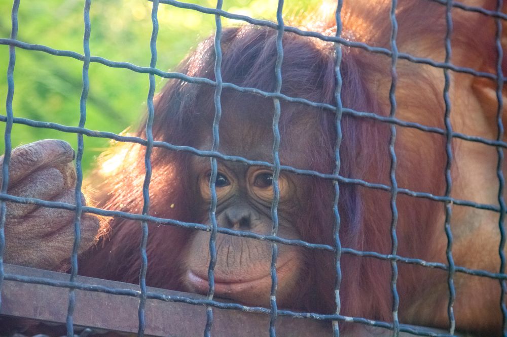 Photograph by Екатерина Бочарова