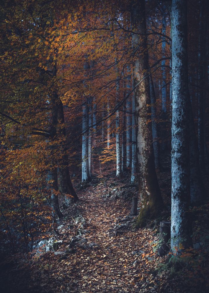 Photograph by Djordjo Iric