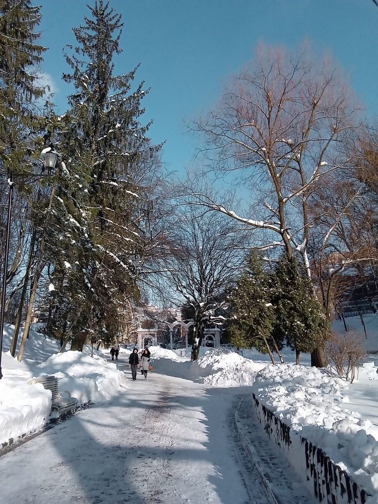 Photograph by Елена Шерман