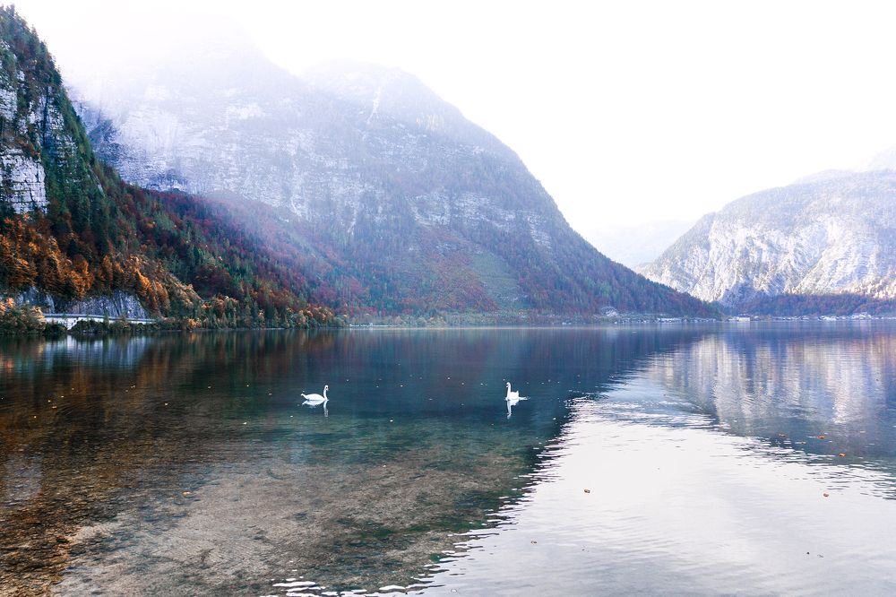 Photograph by Юлия Мау